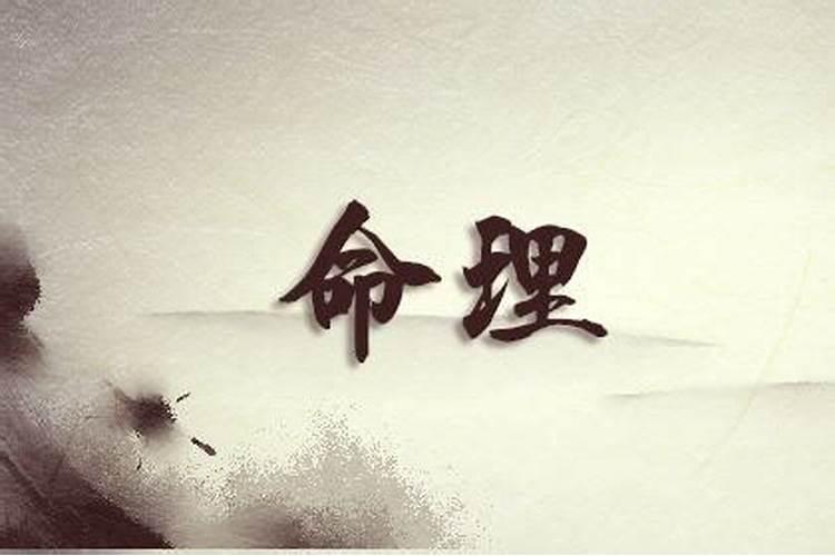 明年什么属相犯太岁