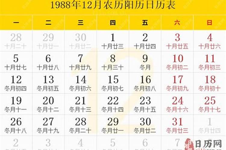 农历88年12月的龙好吗