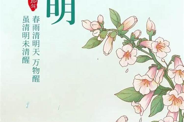清明节气的特点和风俗