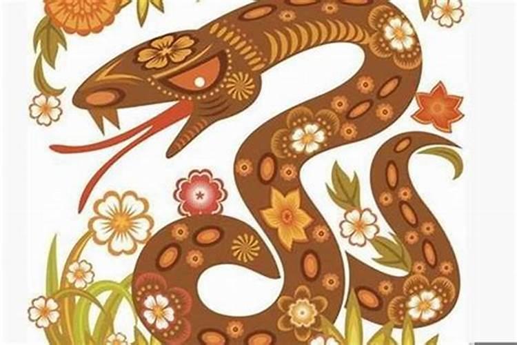 属蛇的结婚忌哪些属相