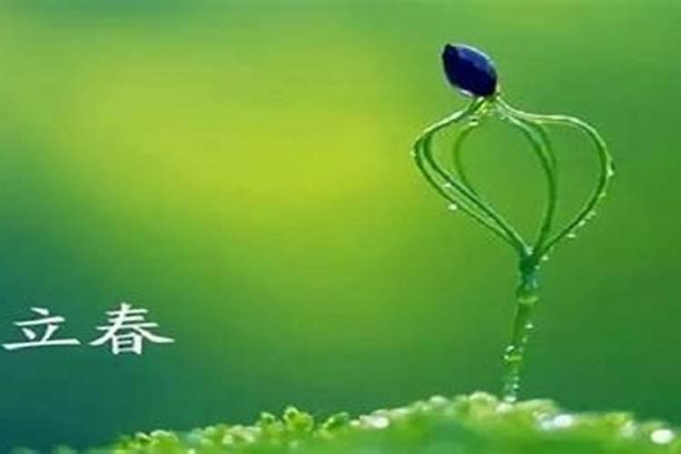立春的准确时间是怎么算的