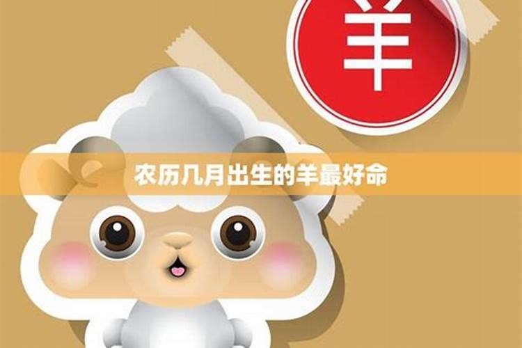 属羊十月出生的人命运 属羊人在农历十月出生命运好不好