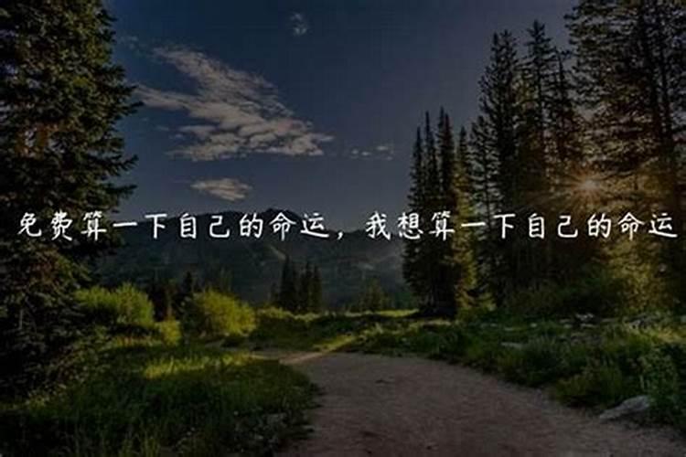 算一下自己的命运,我想算算一下自己的命运如何？