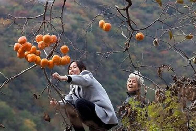 农村讲究的“立秋三不做”大家知道吗？具体指的是什么呢？