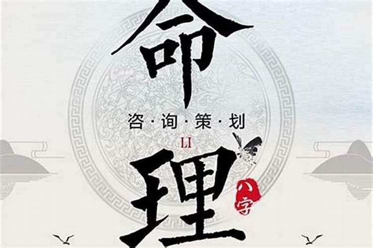 媳妇不孝顺婆婆怎么办