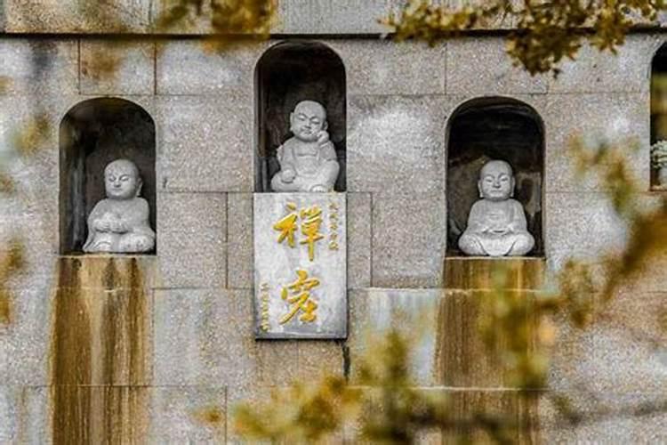 大师, 男:癸酉年九月初十卯时。 女:甲戌年八月初七午时。 (阴历),这...