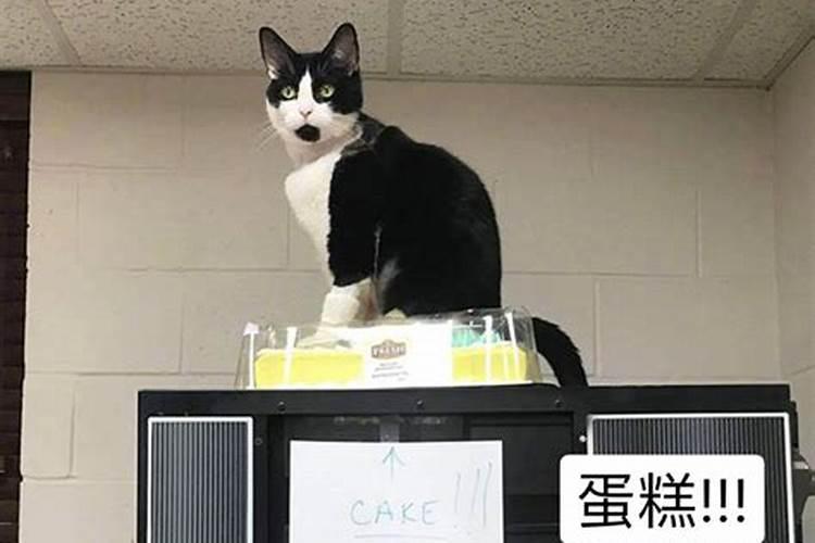 十月初一可以给财神爷烧香吗？