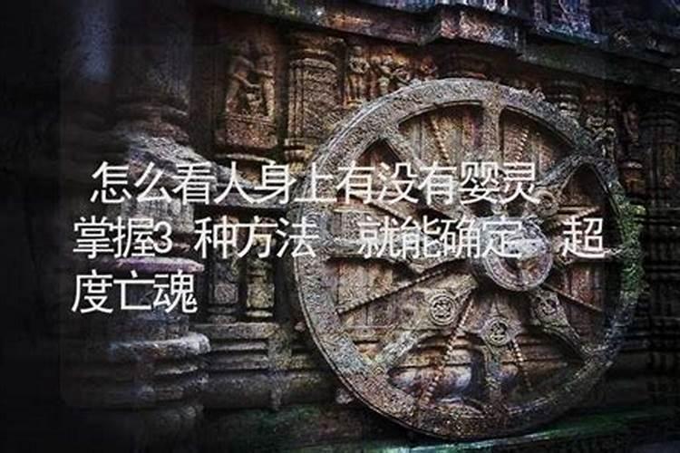 梦见可爱小老鼠