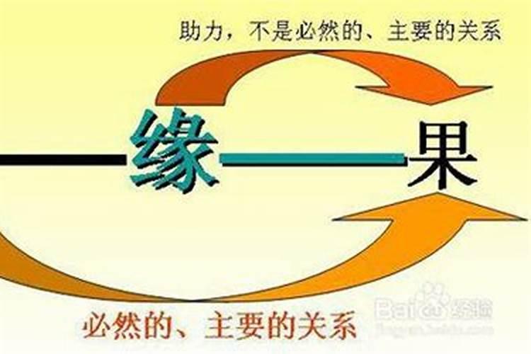 意外死亡,是寿命到了吗？