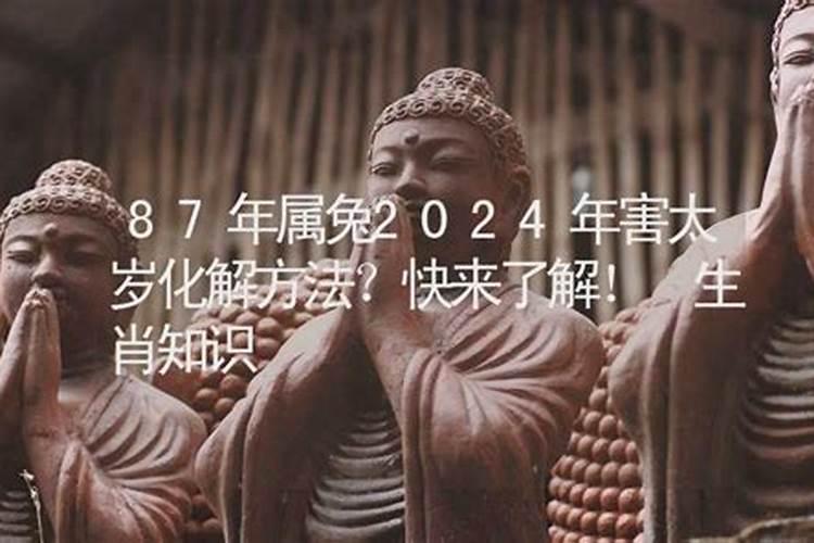 属猪今年冲太岁怎么办20222022年属猪破太岁怎么化解