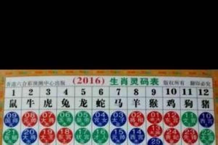 1981年属鸡男2023年运势及运程卜易,属鸡人2023年全年运势