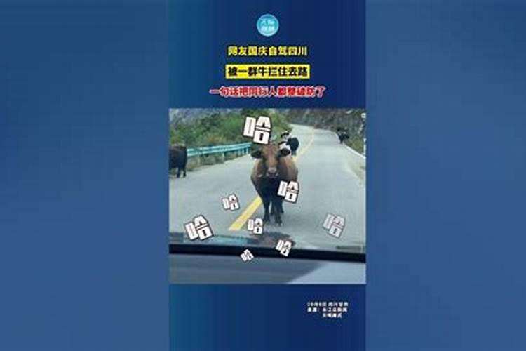 我昨晚做了个梦,梦见自己一个走在路上被一群人拦下来打.