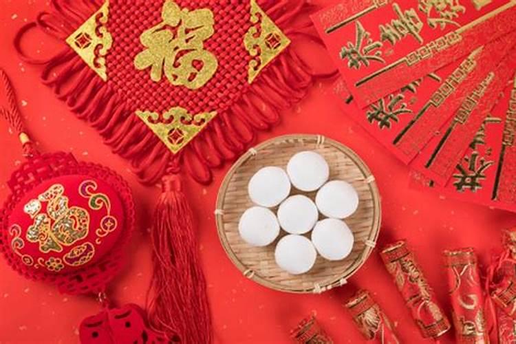 办公楼前种什么树好