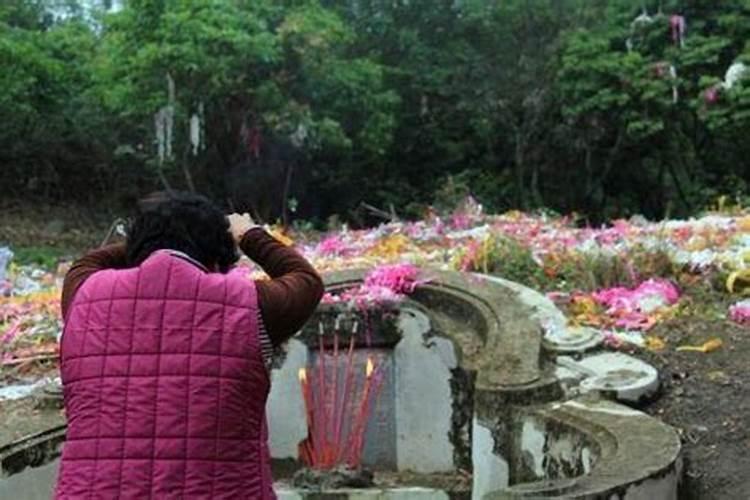 梦到虫子爬到身上预示着什么