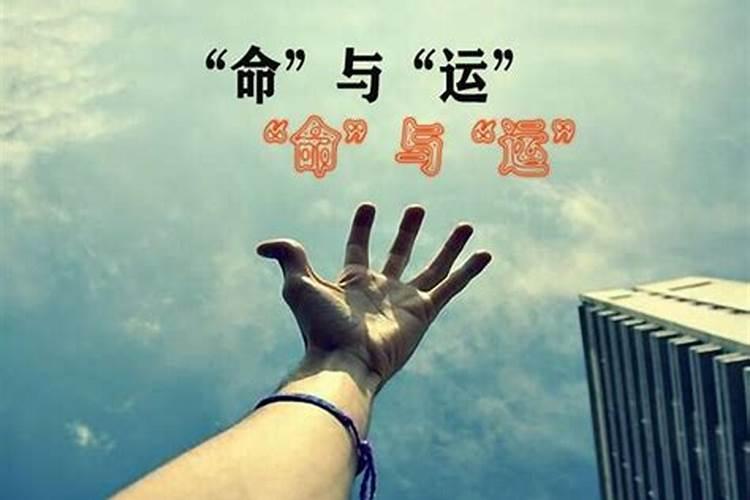 阴环是什么材料做的答案