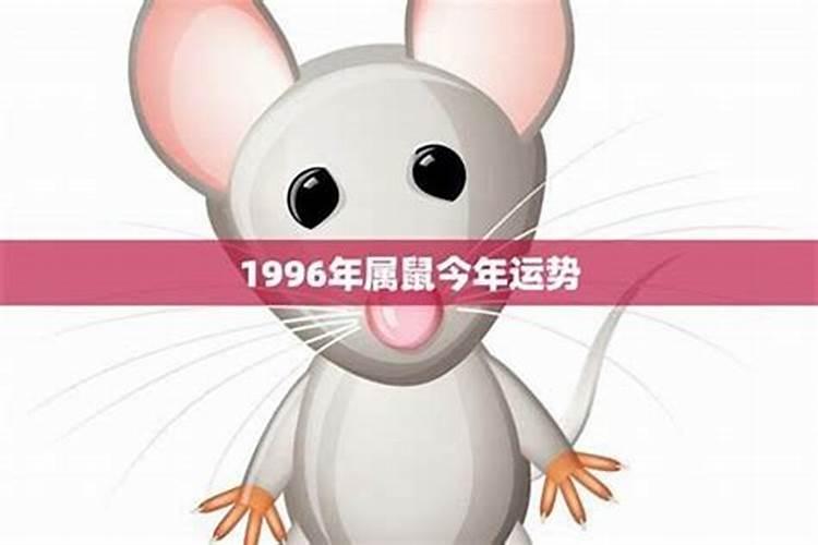 为什么属鼠1996的命苦一生运势详细解析