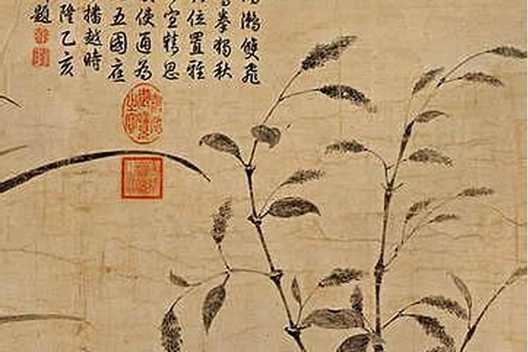 董易奇十二生肖2025运程