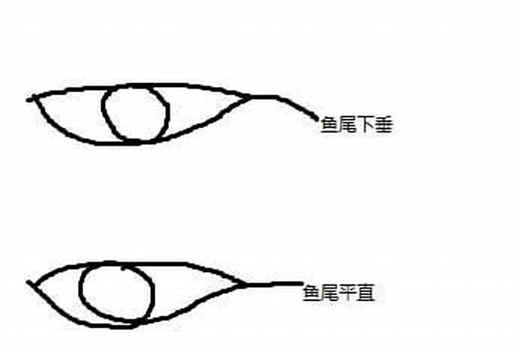 鱼尾纹多的女人面相 自私自利情路坎坷？