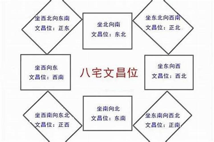 82年的狗今年财运如何
