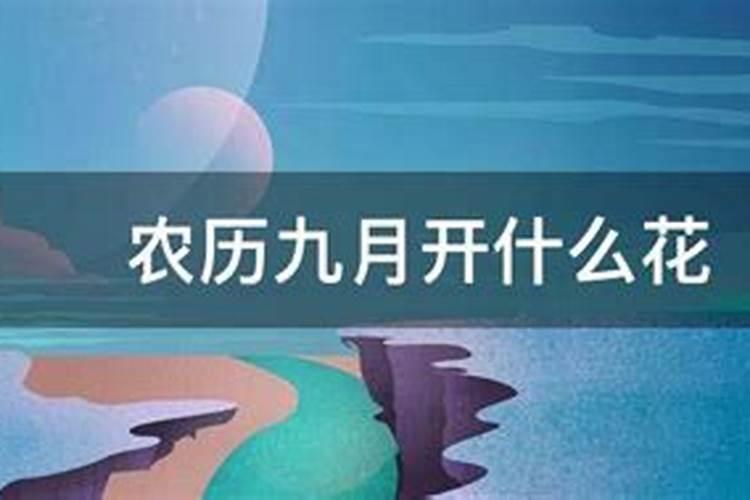 冬至自拍适合发朋友圈文案(精选75句)