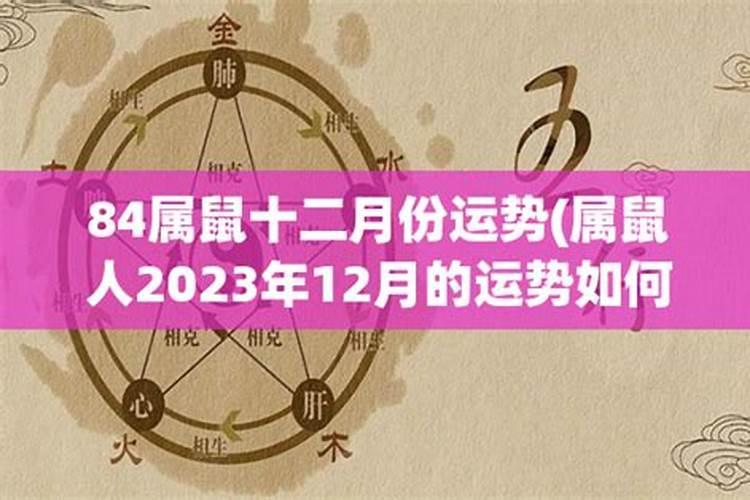 84年鼠2024年12月运势
