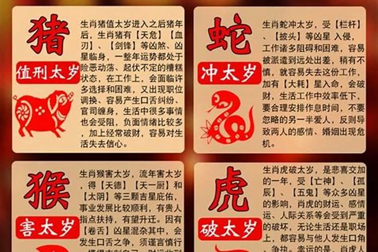 八字中的坐是什么意思