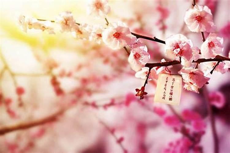菩萨和财神在一起供奉怎么摆放