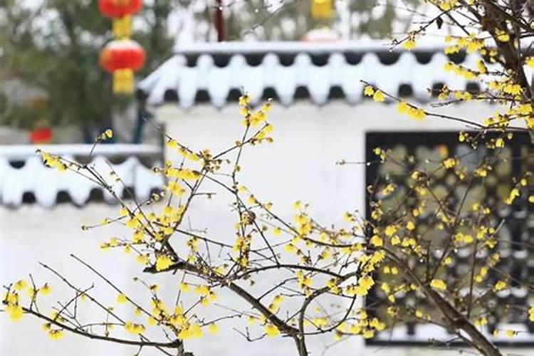 腊月初三有什么讲究