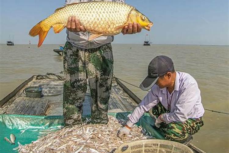 女人梦见鱼虾成群什么意思 女人梦见鱼虾成群的含义