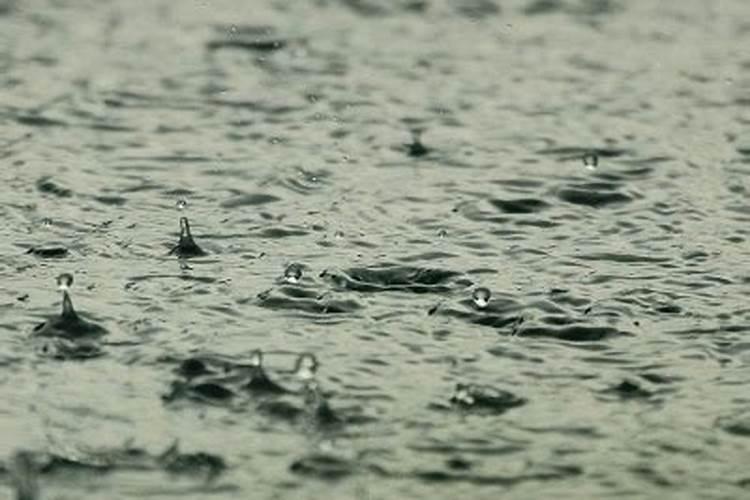 梦见下很大的雨到处都是水的预兆