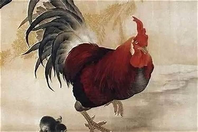 81年属鸡女2025年每月运势及运程详解