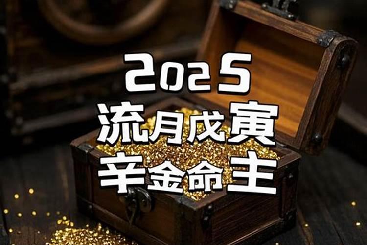 辛金人2025乙巳年运程
