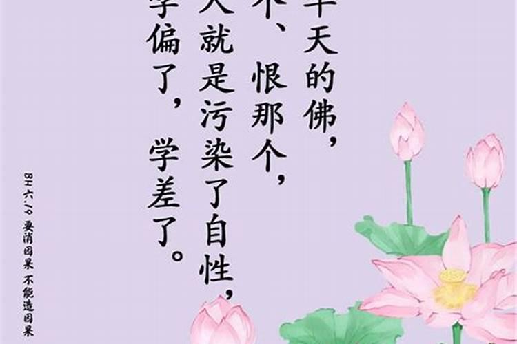 五台山是谁提出来的？