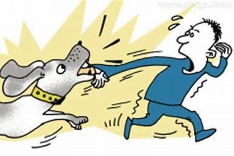 女人梦见狗咬手是吉兆