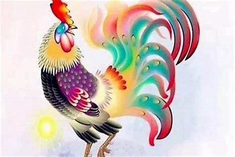 1981年属鸡的人什么颜色最旺