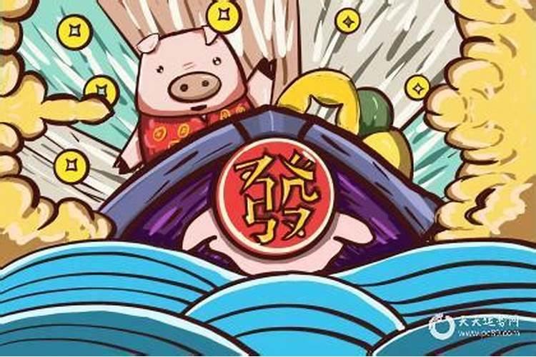 1995年出生的属猪男一生命运