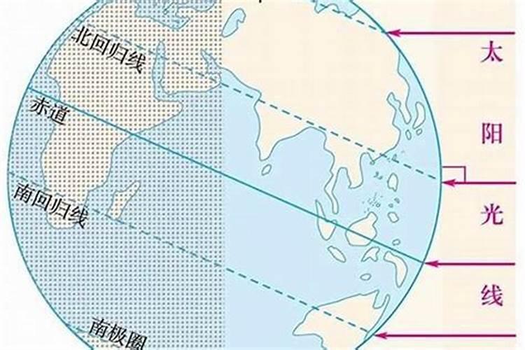 1981年属鸡农历九月初四辰时岀生的命运线