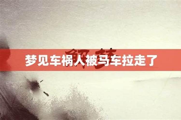 梦见被大马追