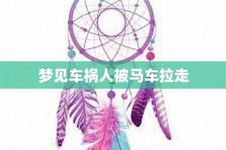 梦见赶马车是什么意思？