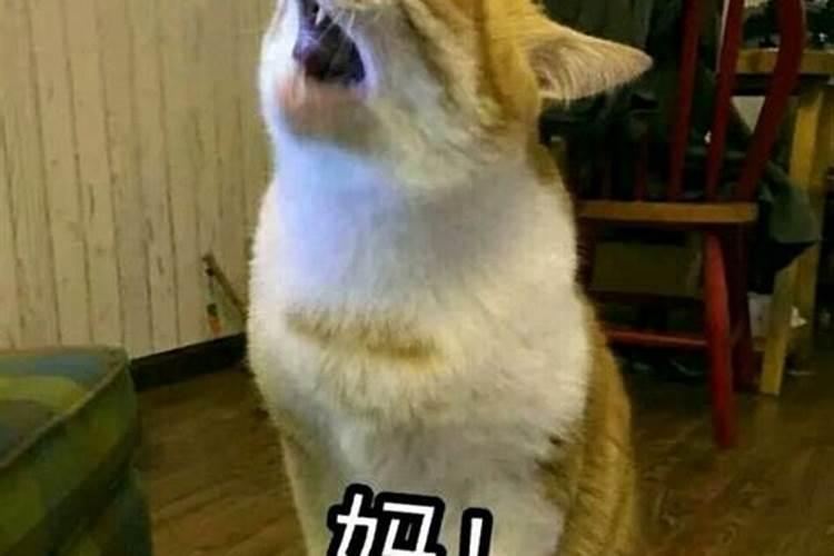 梦见找妈妈的预兆