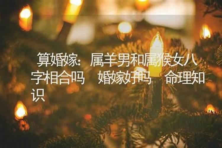属羊和属猴属相相冲吗,属羊的和属猴的合适吗？