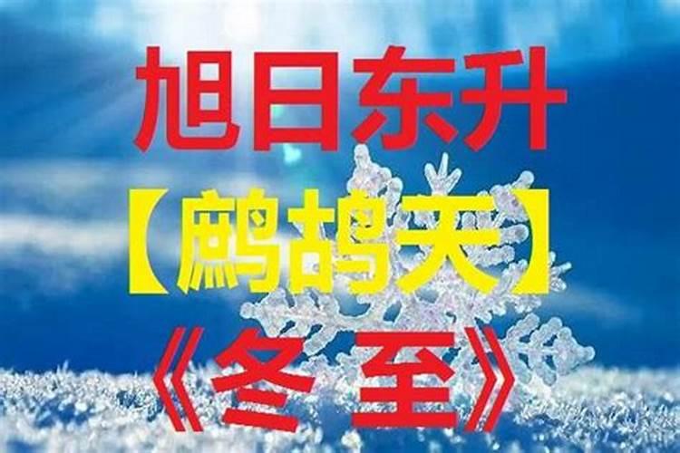 冬至诗词七首赏析(阳生一脉天,梅香告报春)