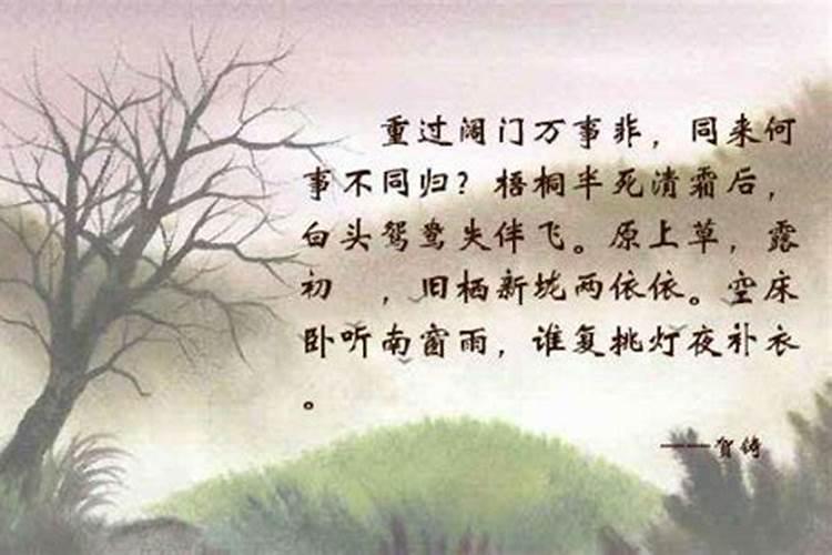 冬至诗句唯美