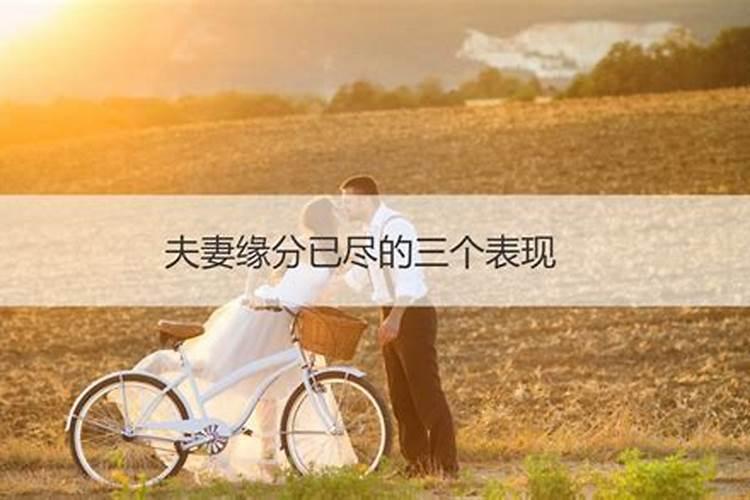 四种婚姻趁早离婚(五种婚姻趁早放手)