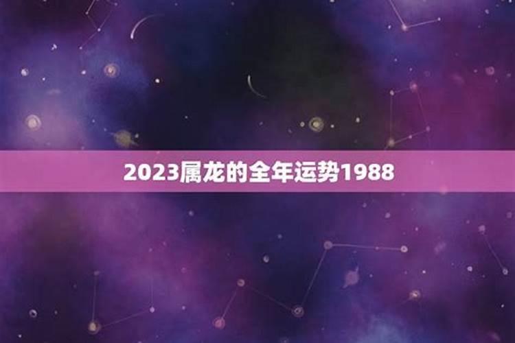 1988年属龙男2025年每月运势及运程