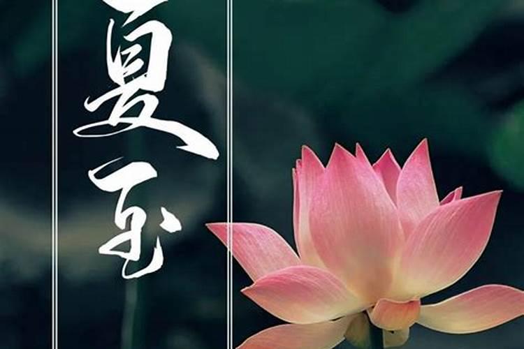 夏至节气的寓意和象征 夏至节气的风俗食物