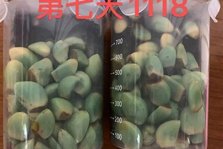 历史上最早和最晚的春节是什么时候