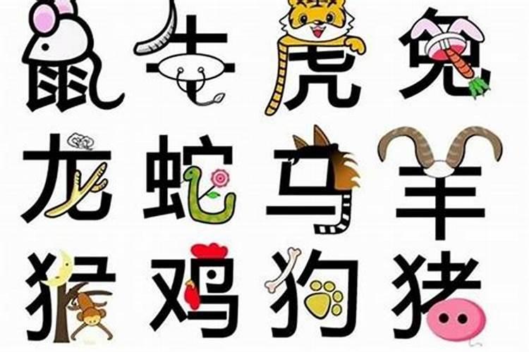属猴男的和什么属相较配