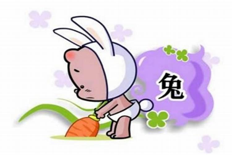 狗遇兔就能富是真的吗婚配是天生一对吗