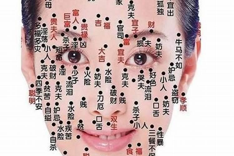 属虎8月出生的人命运